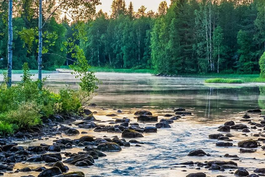 Vaikon loma ja lohi - foto 20