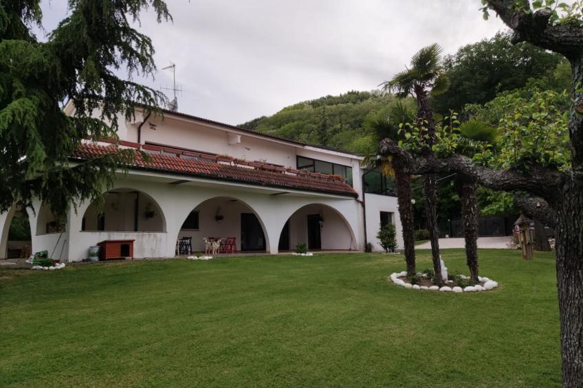 'Dear Peace on the Hill - foto 4