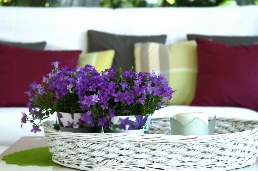 Villa La Picena - foto 62