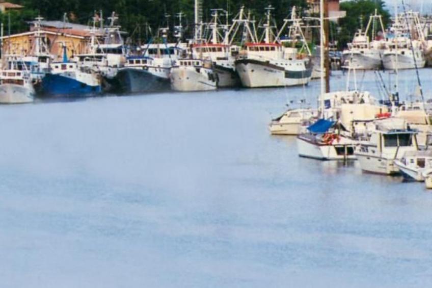 Chalet, Terrasse mit Kamin, privater Garten - foto 5