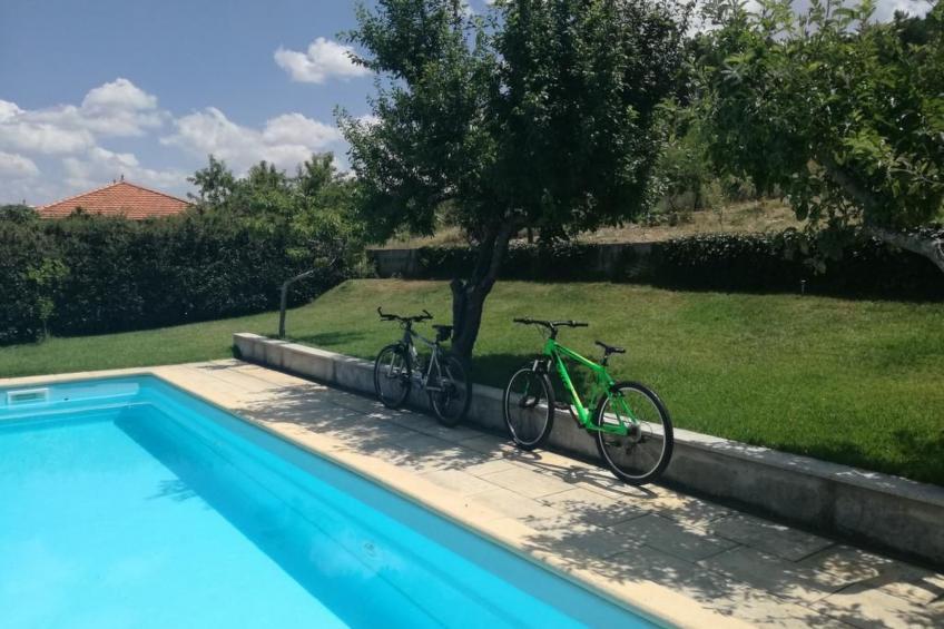 Träumende Aussichten im Douro - foto 25