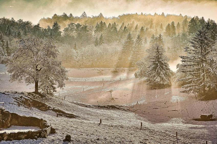 Visnja Gora Meadow Hideaway with Terrace - One Bedroom Cottage with Terrace (owner Hiška na skalci) - foto 40