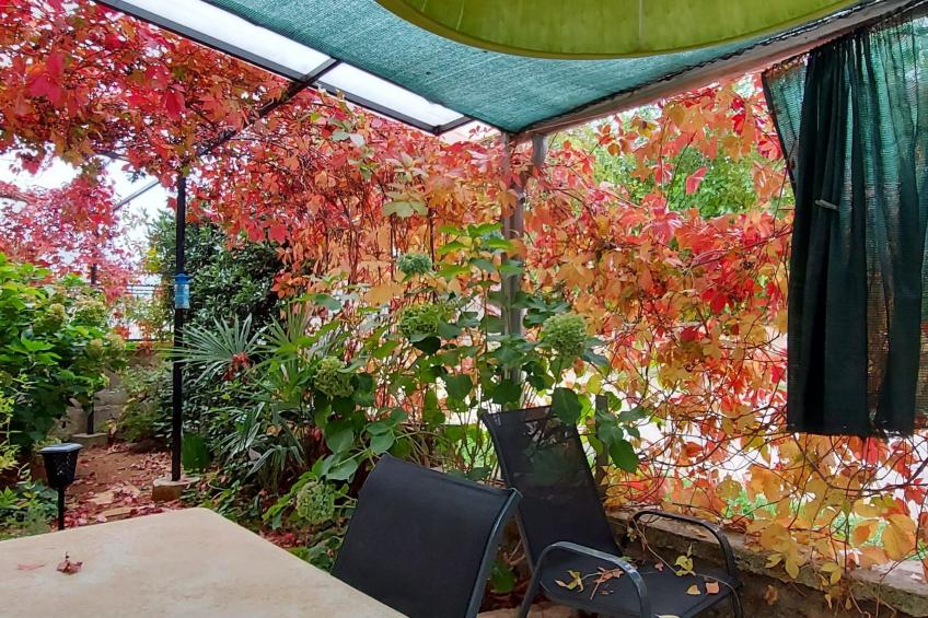 appartement de vacances "1 Eti und Mia Haus" - foto 11