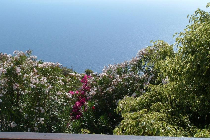 mit Garten und wunderbarer Aussicht - foto 32