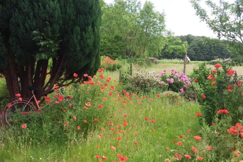 Schwalbennest - foto 35