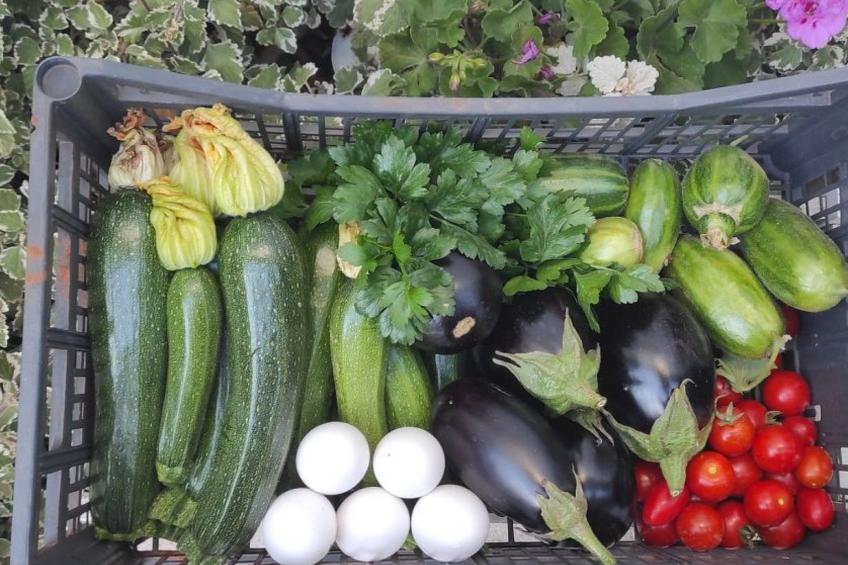 Villa Barone Landhaus mit Pool - foto 40