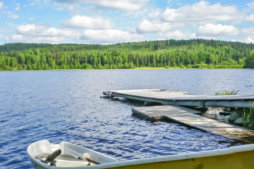 Riutankolo, mustosen lomamökit - foto 5