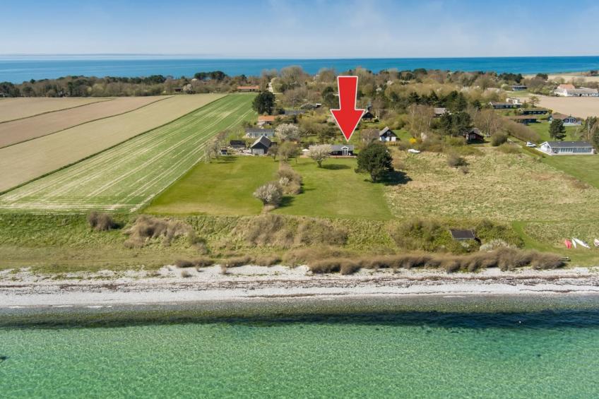 "Trajko" - 100m from the sea in Sealand - foto 10