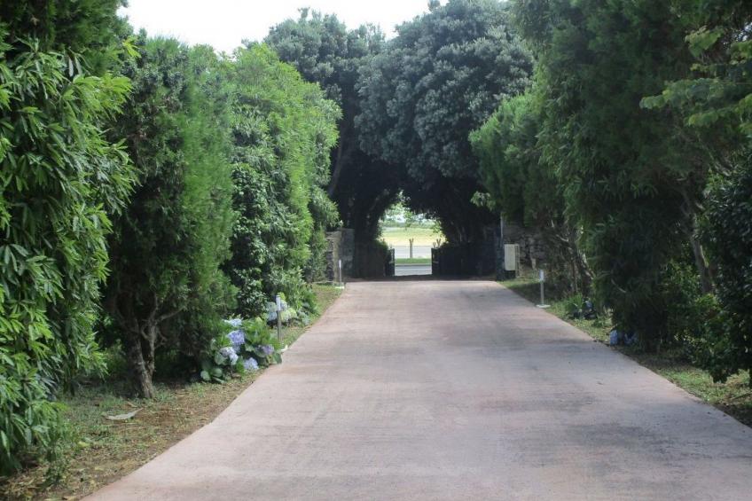 Bauernhof mit privatem Pool in Açores - foto 36