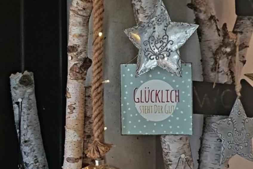 Max Mountain View - foto 16