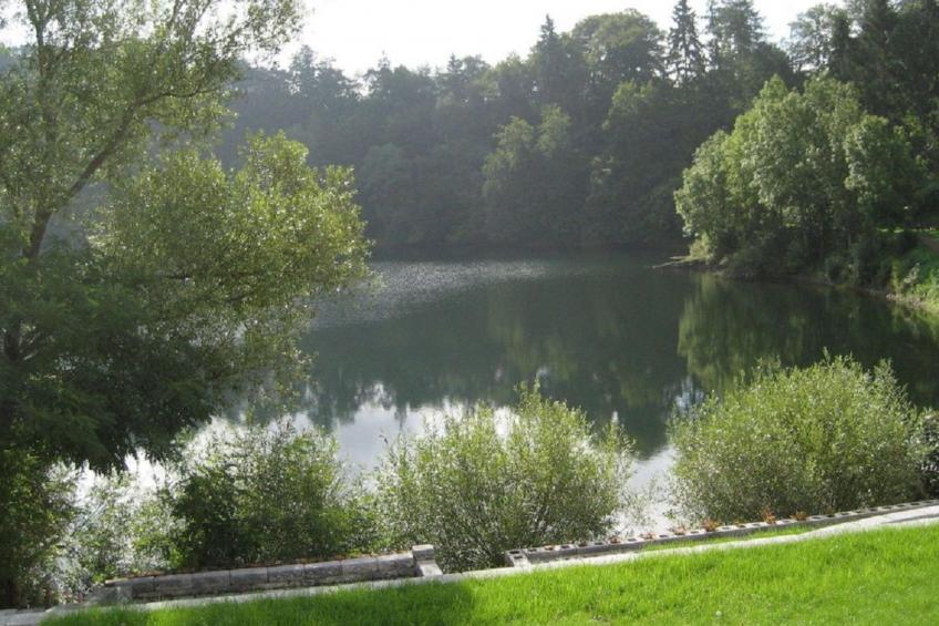 in der Vulkaneifel - foto 14