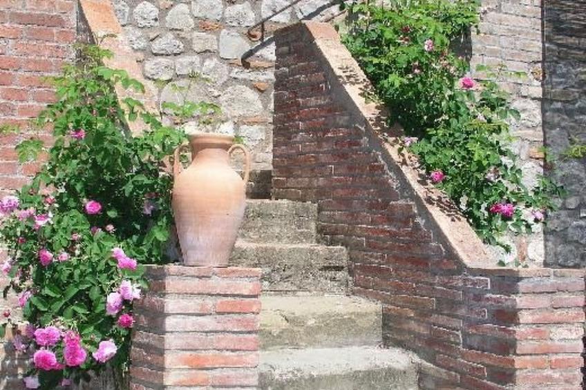 'Black Rooster - foto 5