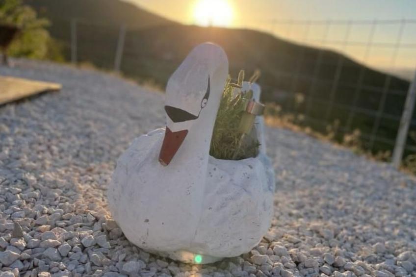 Anwesen "Poljicko imanje" mit eigenem Pool - foto 11