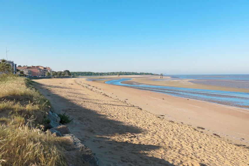 La Rose des Pins - foto 35