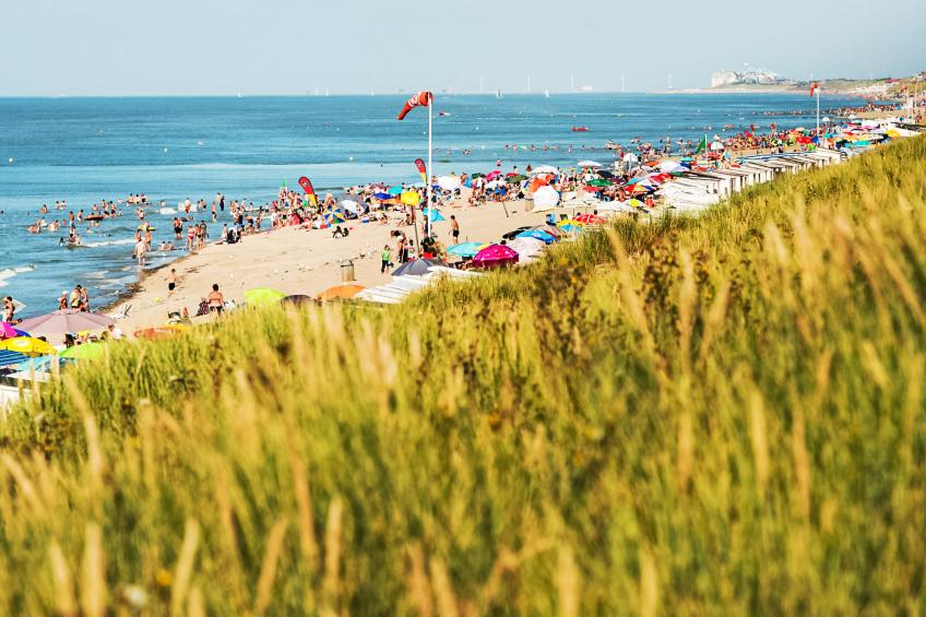 Sea Garden - foto 11