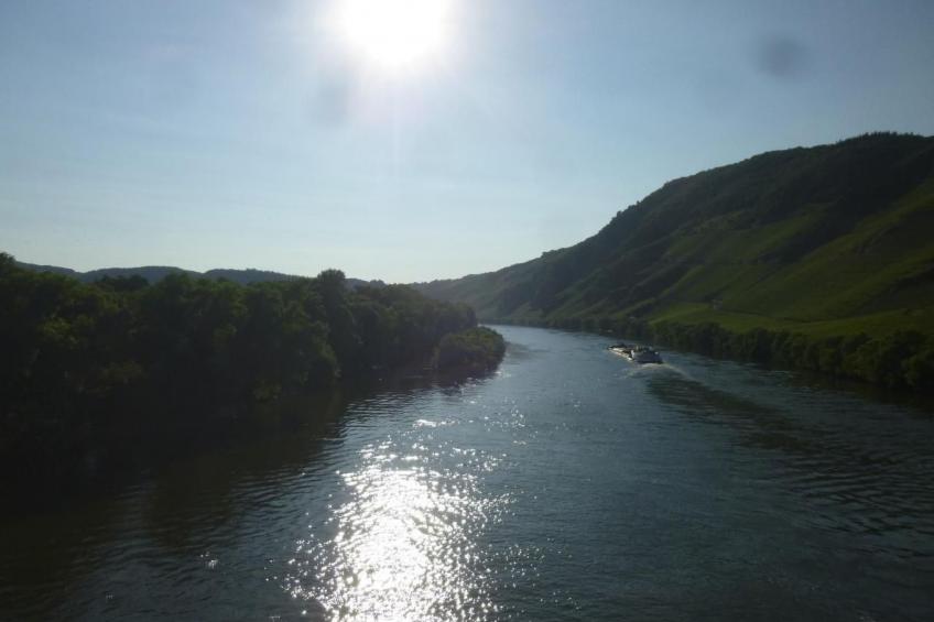 Moseljuwel-Traumferien Ferienwohnung - foto 29