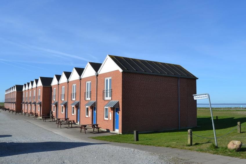 "Arngerus" in Western Jutland - foto 15