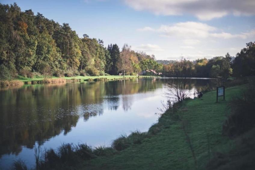 Le Pigeonnier - foto 38