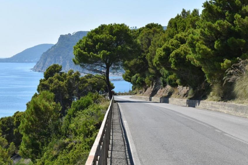 Schöne Ferienwohnug - foto 26