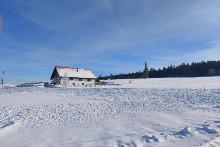 Wohnung in altem, renoviertem Bauernhaus - foto 42