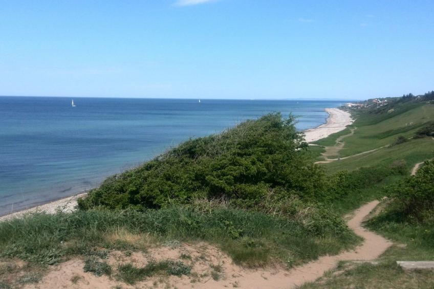 VW-J8N27 - foto 32
