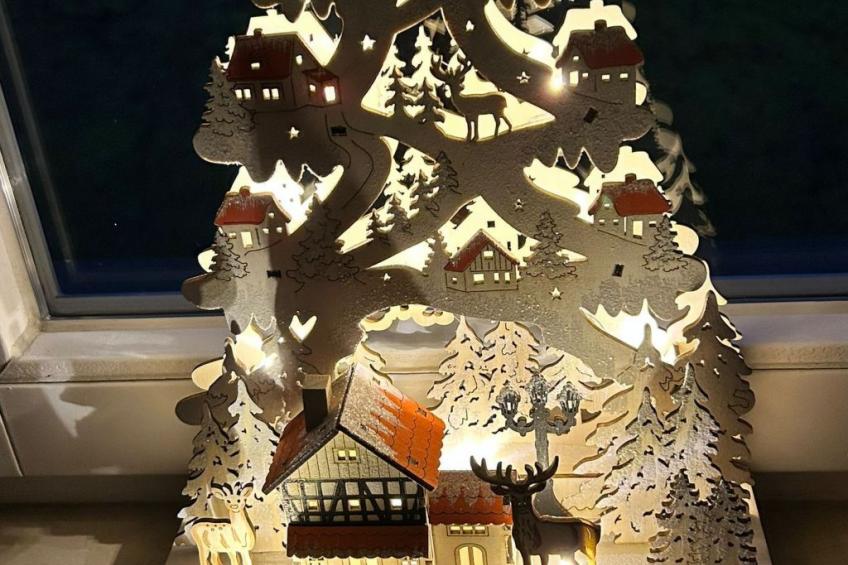 Fewo Fröhlich - foto 27