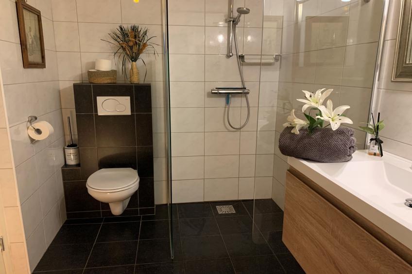 Ganzenmars - foto 18