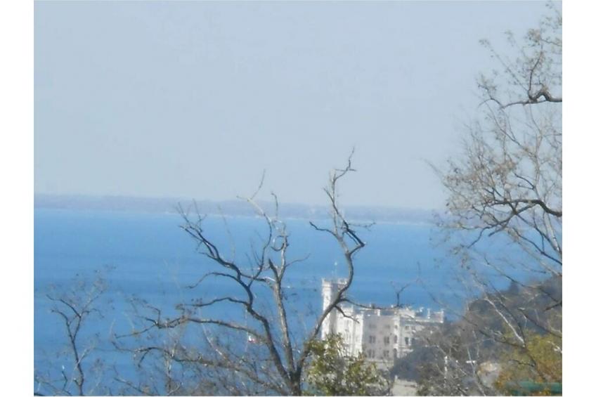 818043 - foto 25