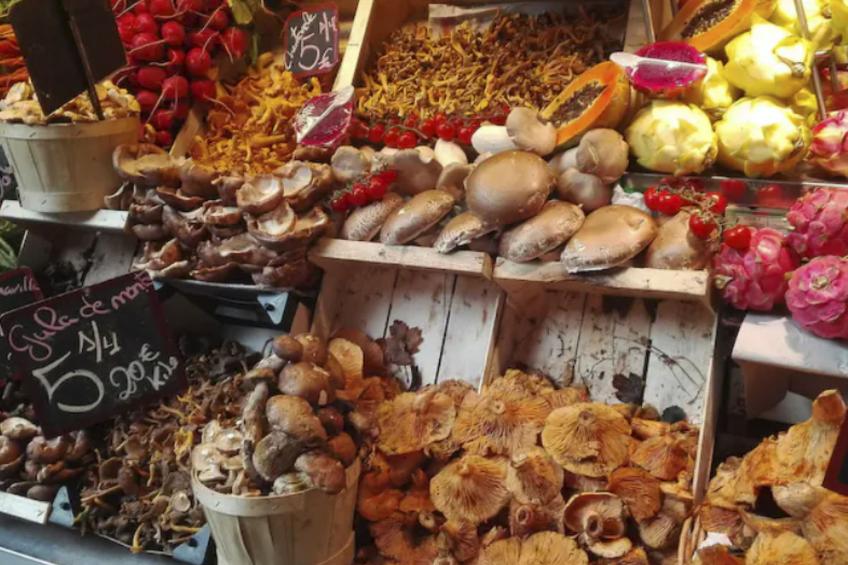 Finca "Brisas" mit Blick auf das Wasser - foto 42