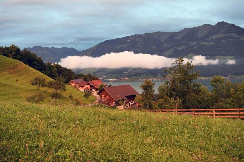 Holzhaus auf Lamahof - foto 6