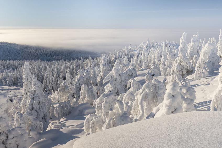 Loma-saaga 3 - foto 38