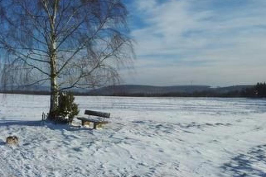 Miltenberg - foto 21