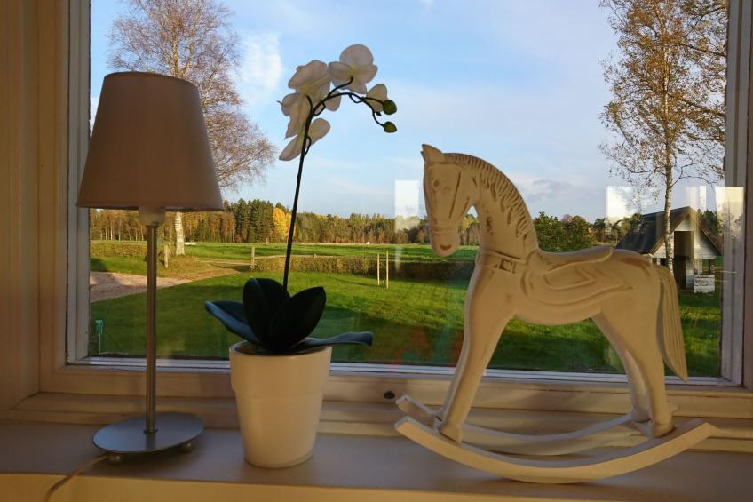 Saxarsviken - foto 20