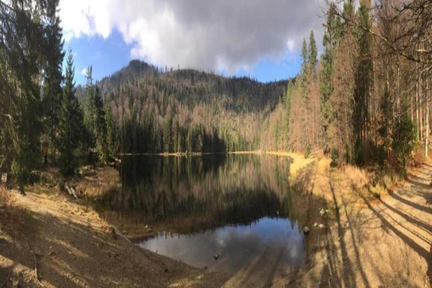 Apartment im Haus Sonntal - foto 37