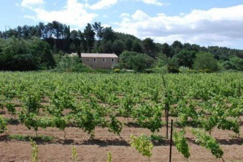 Villa Sainte Valière - foto 32