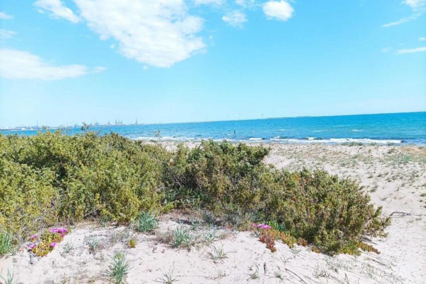 Appartamento Martina Franca - Centro Storico - foto 40