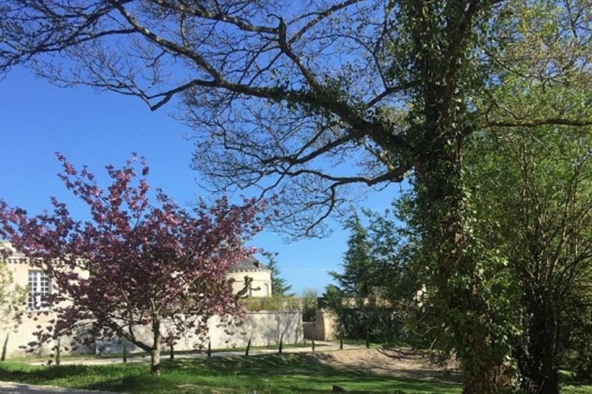 Cottage Parc 70m2 mit Pool in Azay le rideau - foto 45