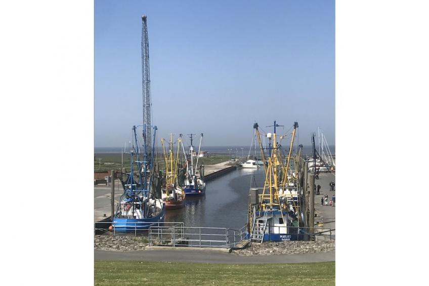 255350 - foto 20