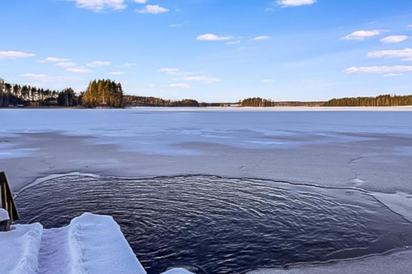 Villa saimaan joutsenlahti - foto 36