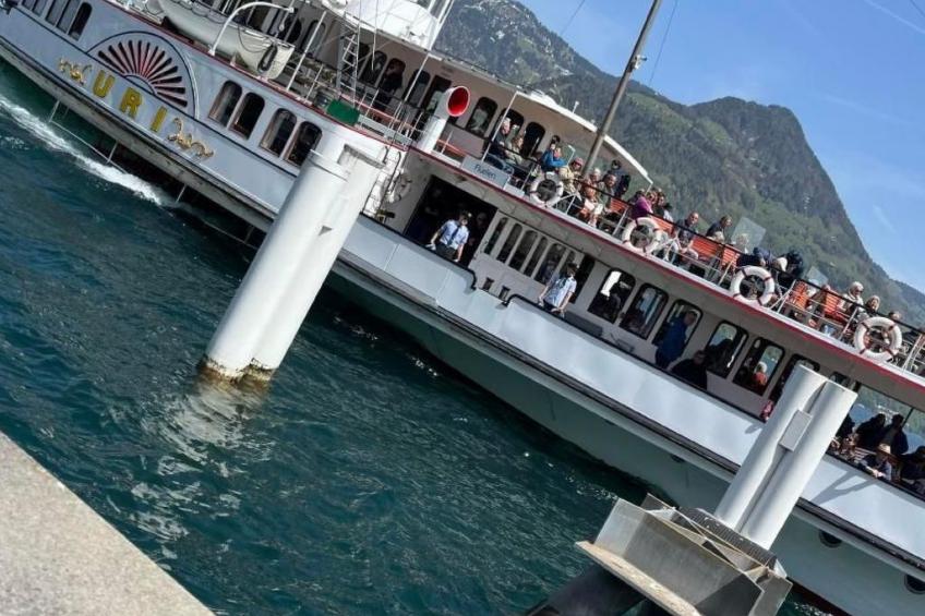 Villa Seelisberg mit Jacuzzi und Panoramablick - foto 40