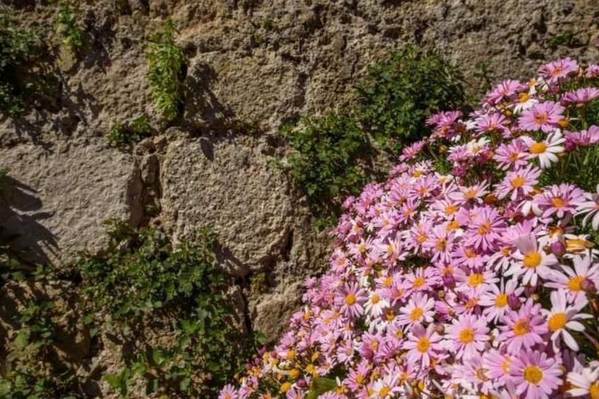 Das Haus von Macarena - foto 32