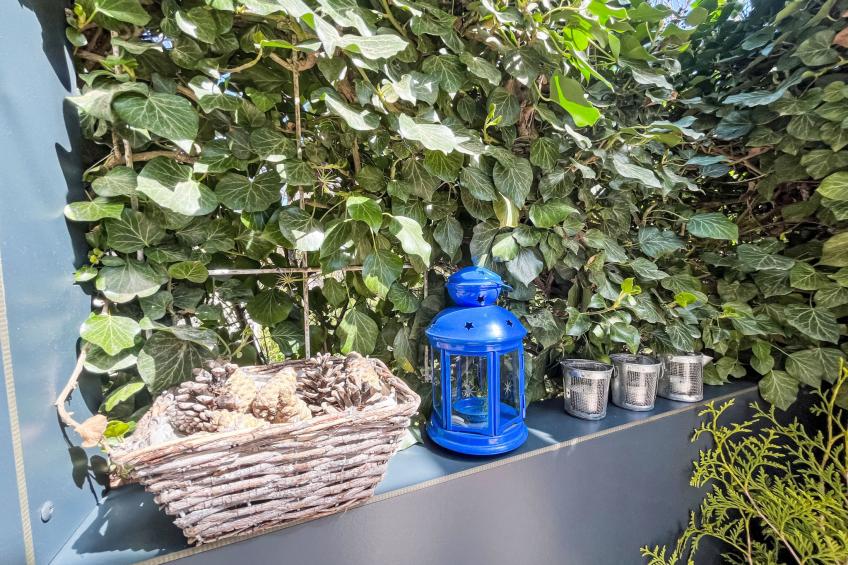 Mit Liebe ausgestattetes Haus im Naturpark - foto 32