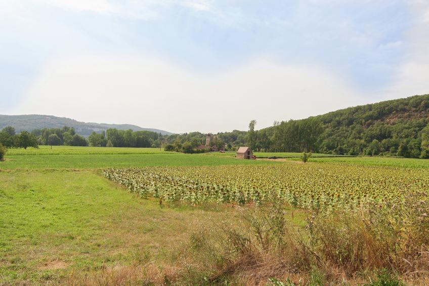 Belle Demeure Ribot - foto 39