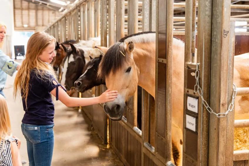 Module 5 persons - foto 18