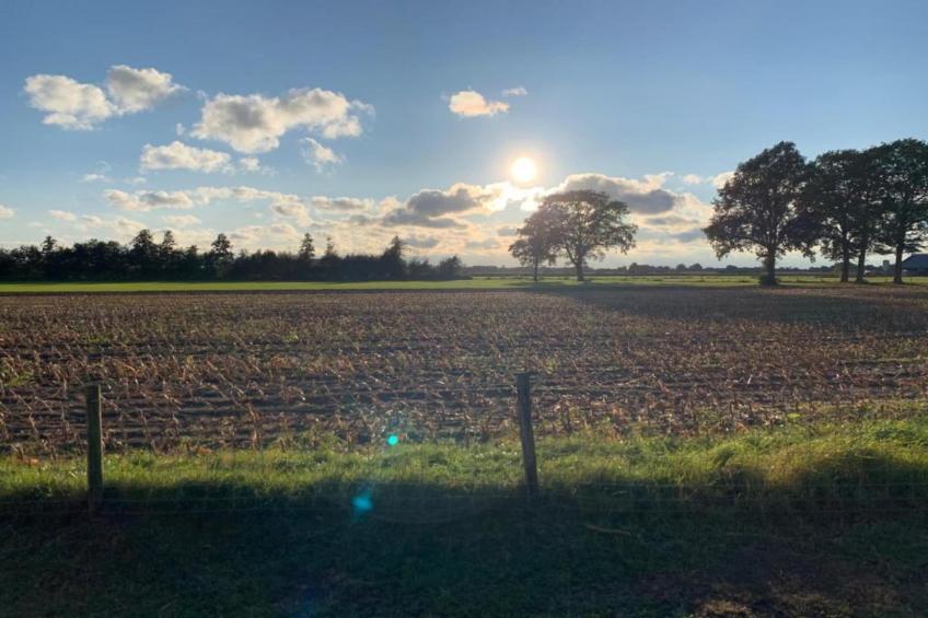 Vakantiepark Hessenheem 6 - foto 31