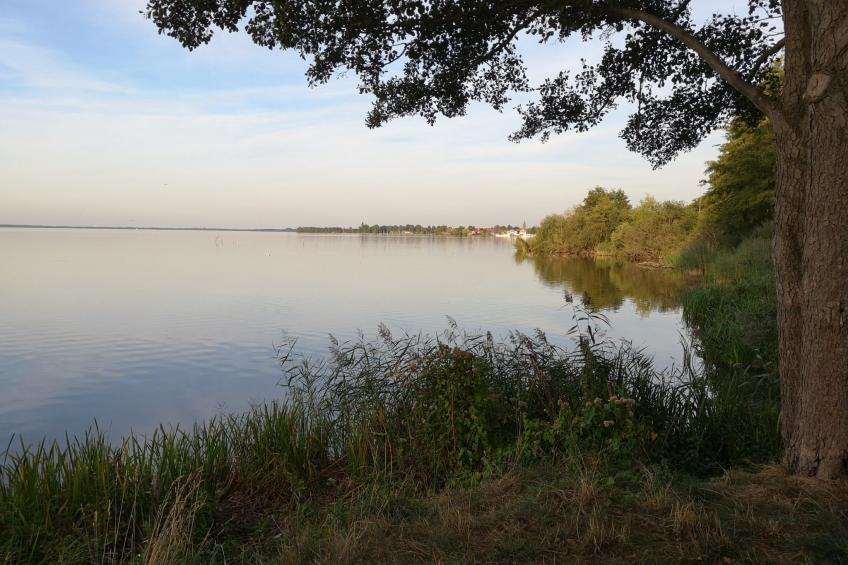 für 4 Personen ca. 165 m² in Mardorf, Niedersachsen (Steinhuder Meer) - foto 25