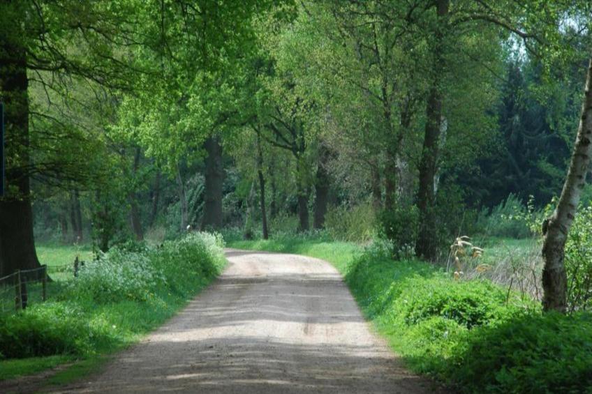 Huus in t Hagt - foto 18