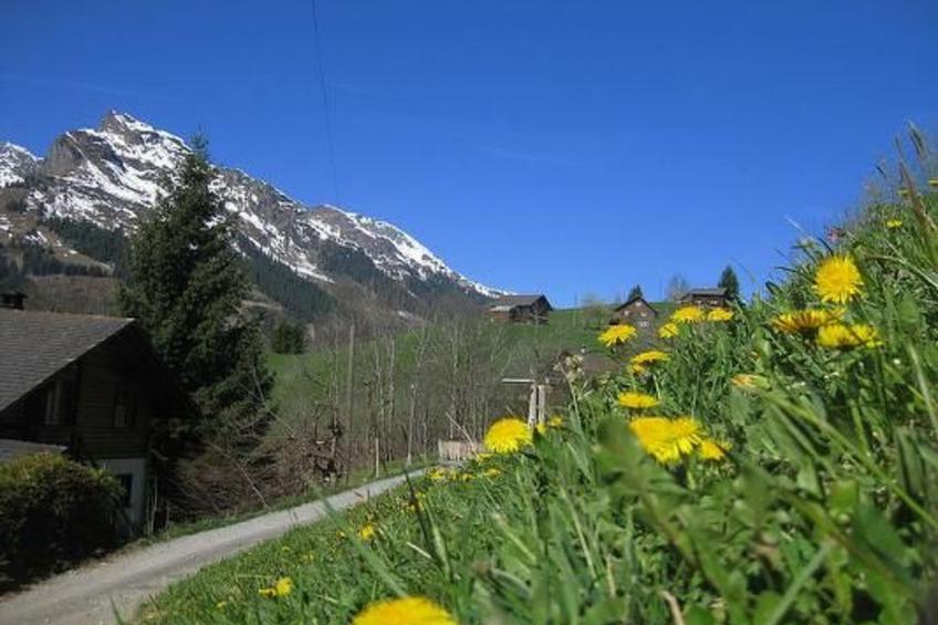 Weissenberge Gfell - foto 6