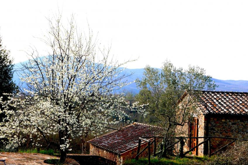 Charmantes Ferienhaus in Ciciano mit Grill, Garten und gemeinsamem Pool und Pan - foto 12