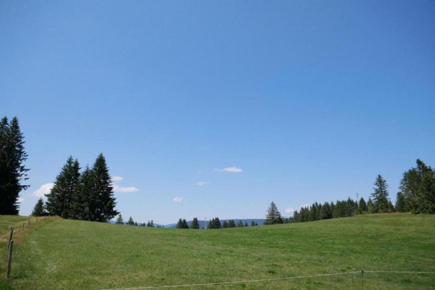 Schwarzwaldhaus Pferdeklause - foto 34